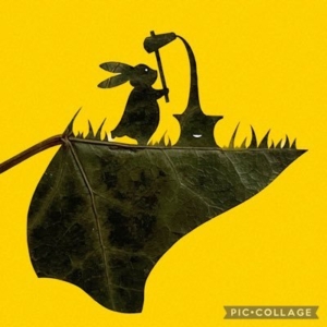 TAMA no KAZE Radio!|パーソナリティーKoji